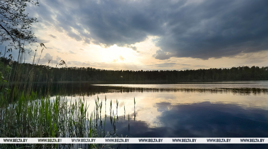 Фото из архива