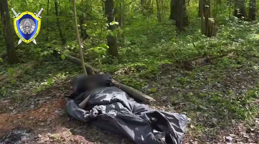 Скриншот видео СК