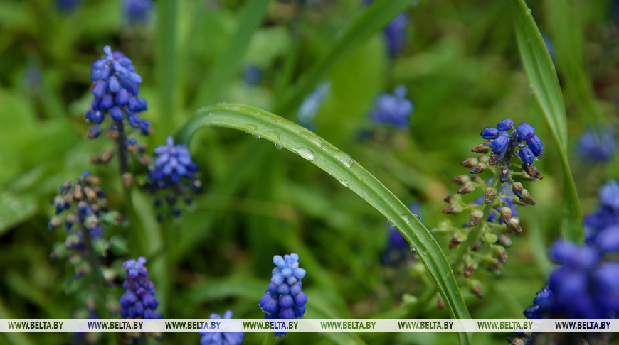 Фото из архива