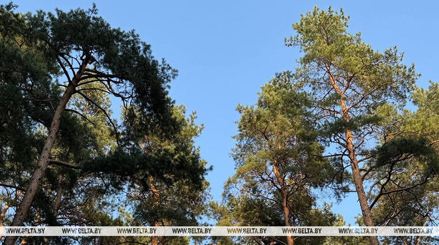 Фото из архива