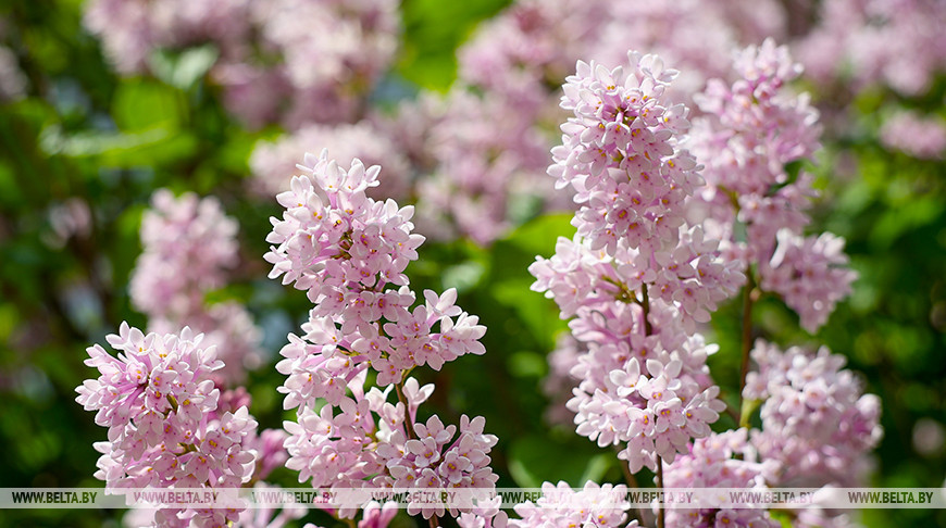 Фото из архива