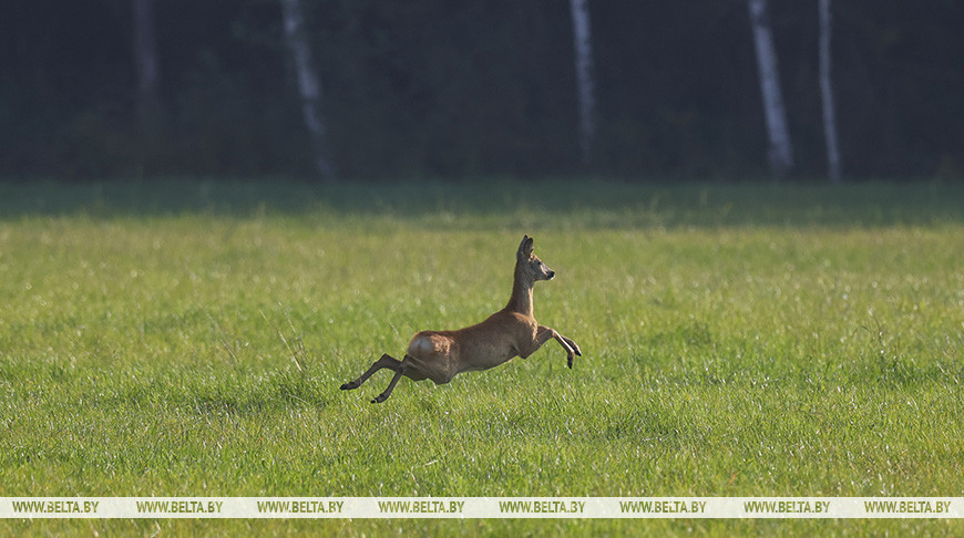 Фото из архива