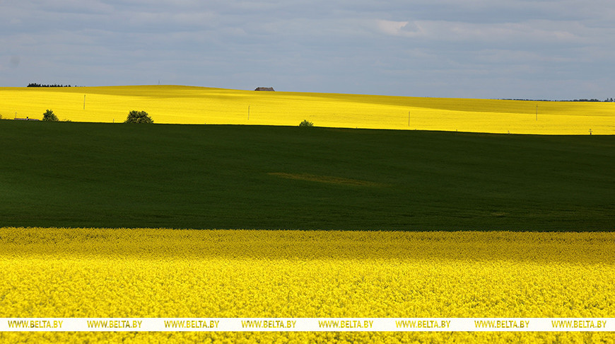 Фото из архива