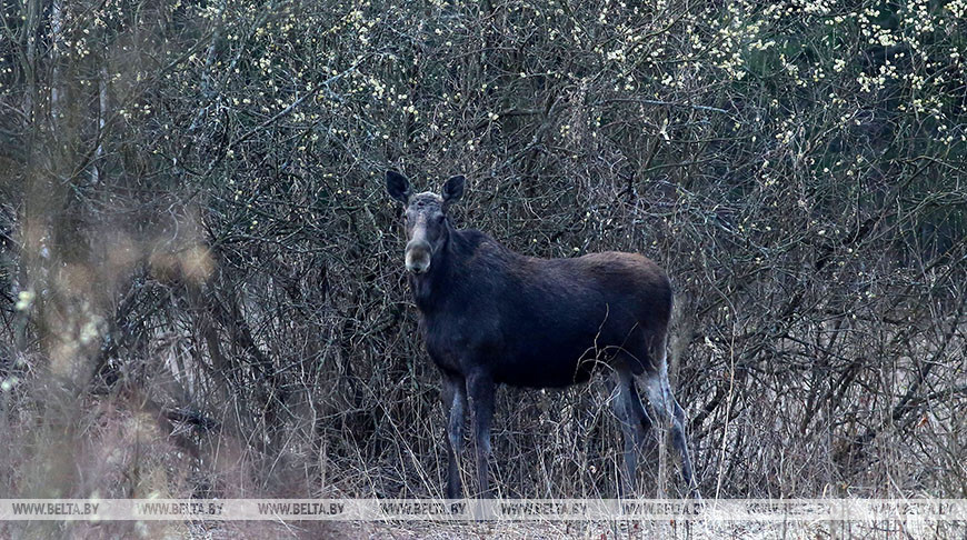 Фото из архива