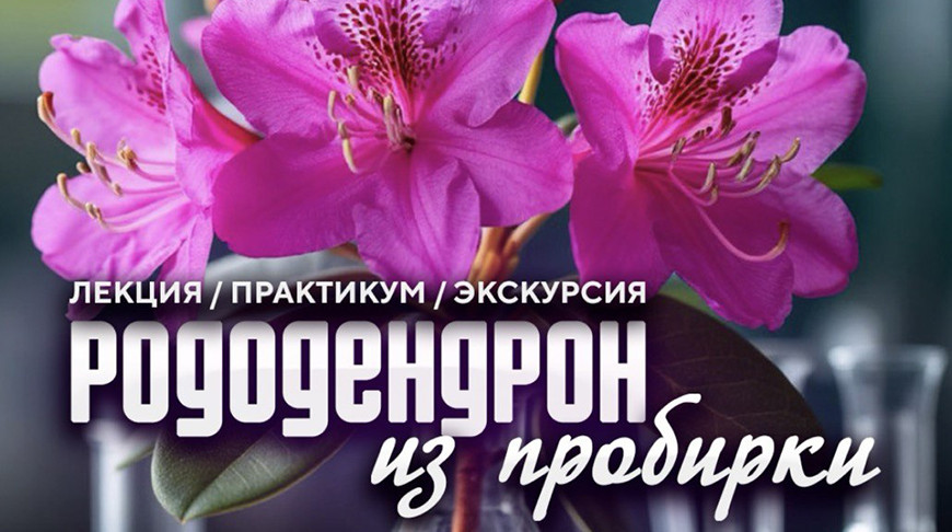 Фото Центрального ботанического сада НАН Беларуси