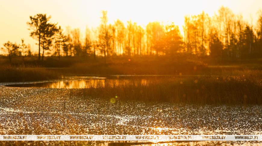 Фото из архива