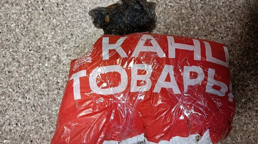 Фото УСК по Гомельской области