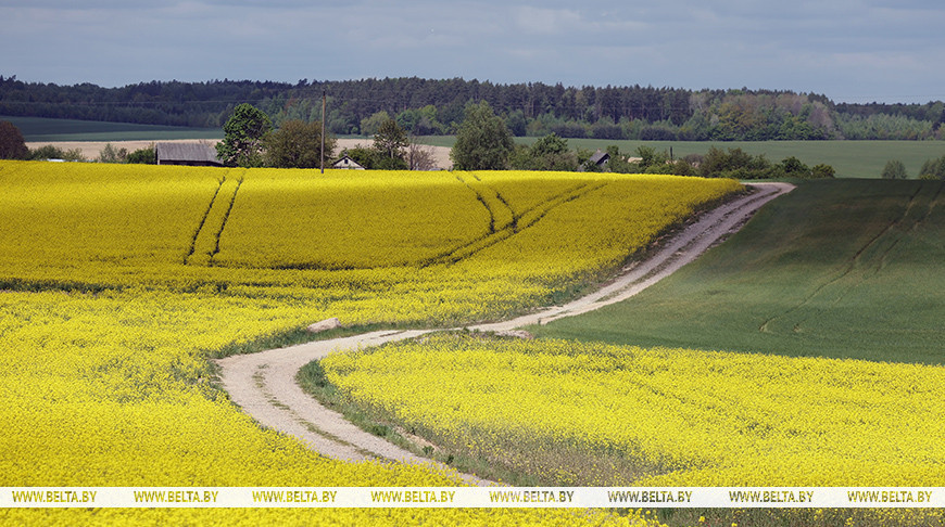 Фото из архива