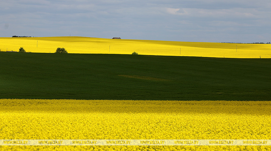 Фото из архива