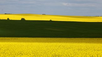 Фото из архива