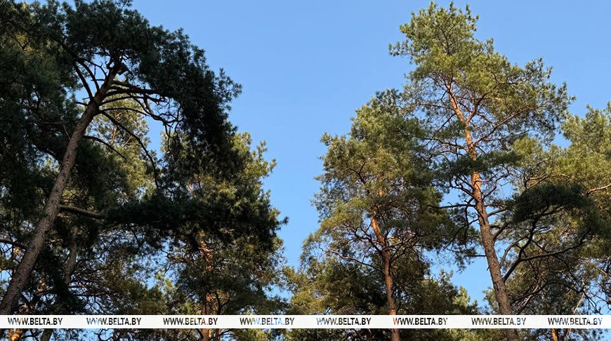 Фото из архива