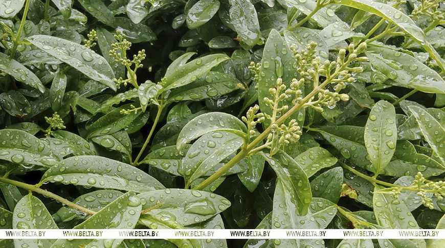 Фото из архива