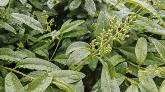 Фото из архива