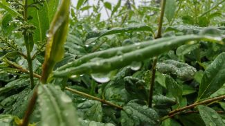 Фото из архива