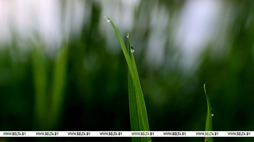 Фото из архива