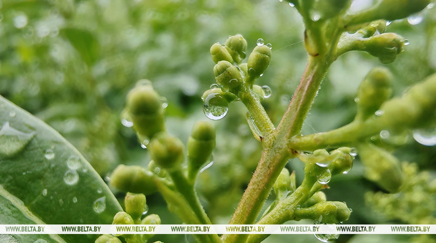 Фото из архива