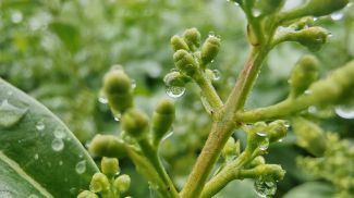 Фото из архива