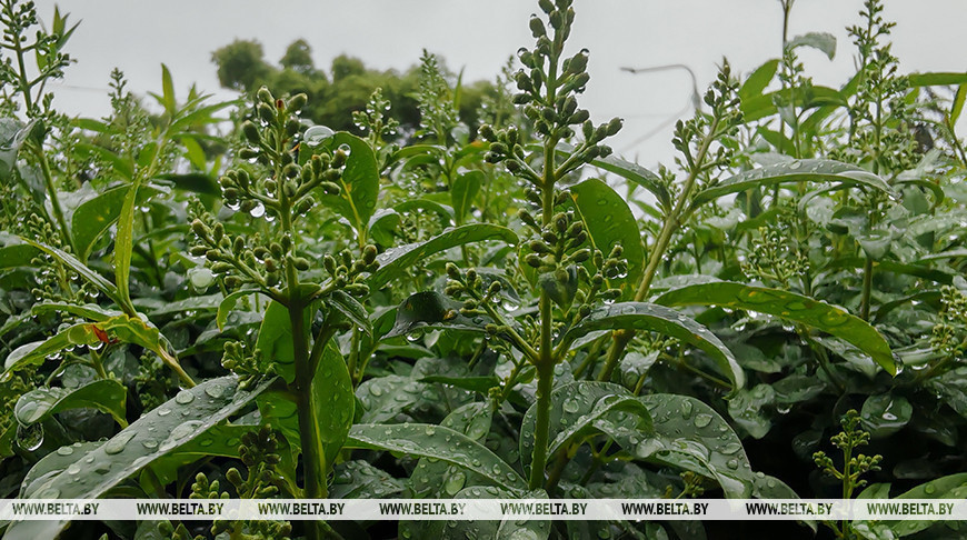 Фото из архива