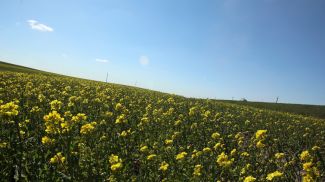 Фото из архива