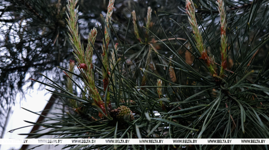 Фото из архива