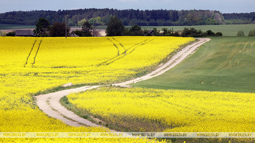 Фото из архива
