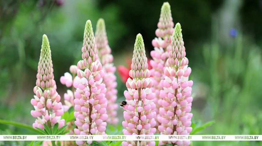 Фото из архива