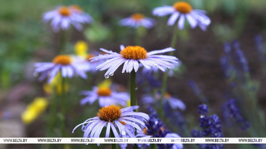 Фото из архива