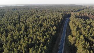 Фото из архива Фото из архива