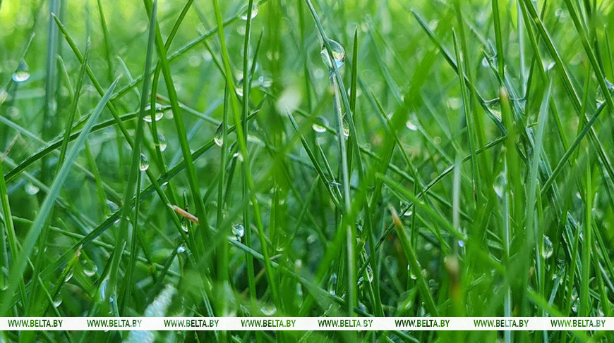 Фото из архива