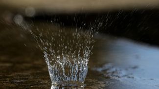 Фото из архива