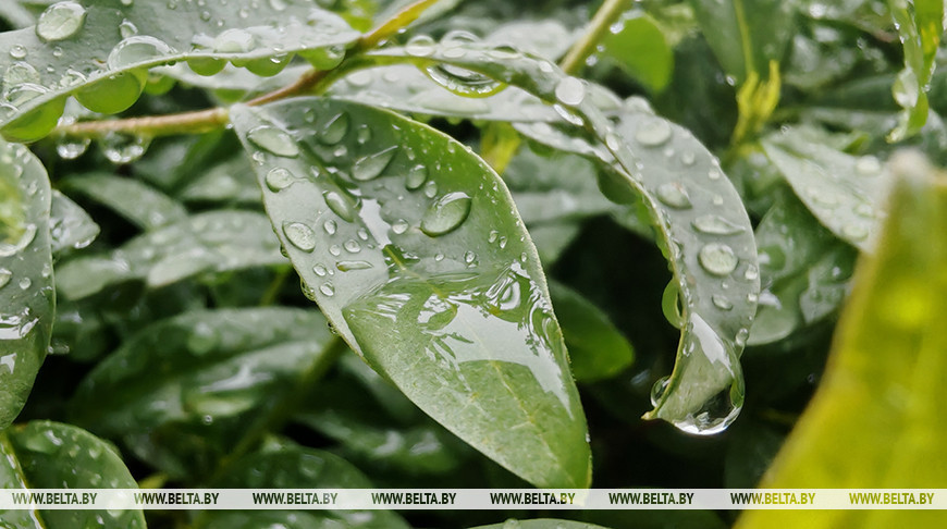 Фото из архива