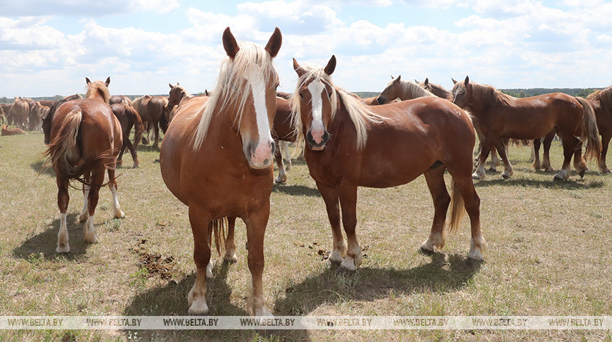 Фото из архива