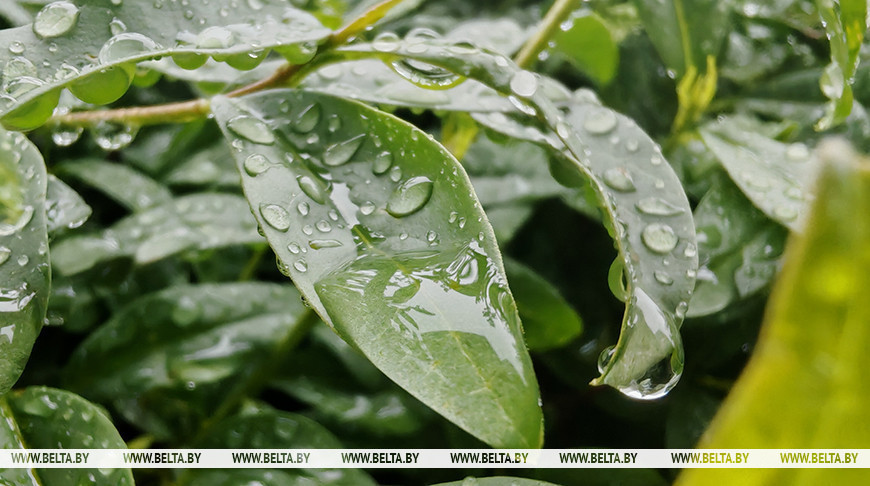 Фото из архива