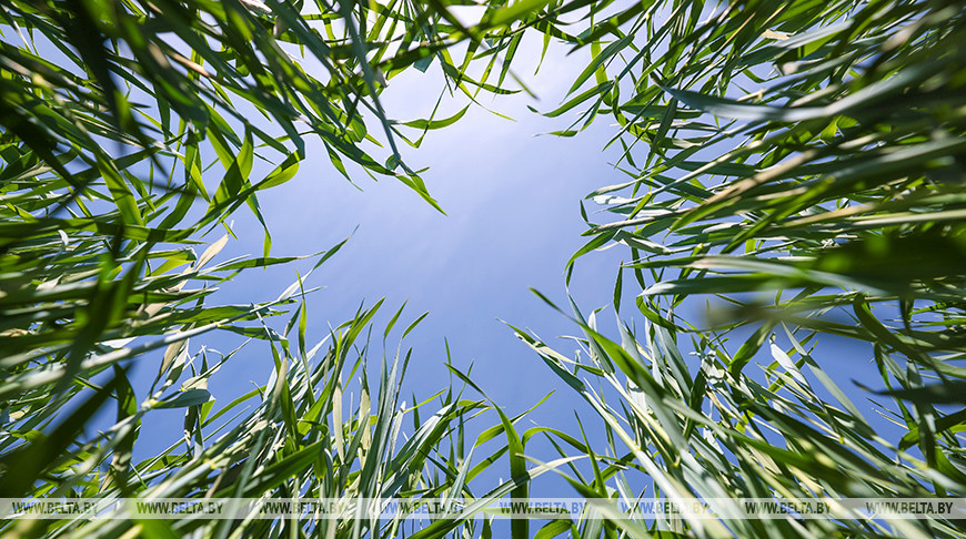 Фото из архива