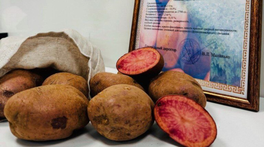 Фото из телеграм-канала Татьяны Ким