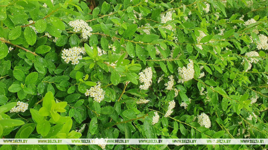 Фото из архива