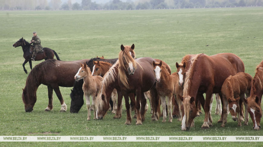 Фото из архива