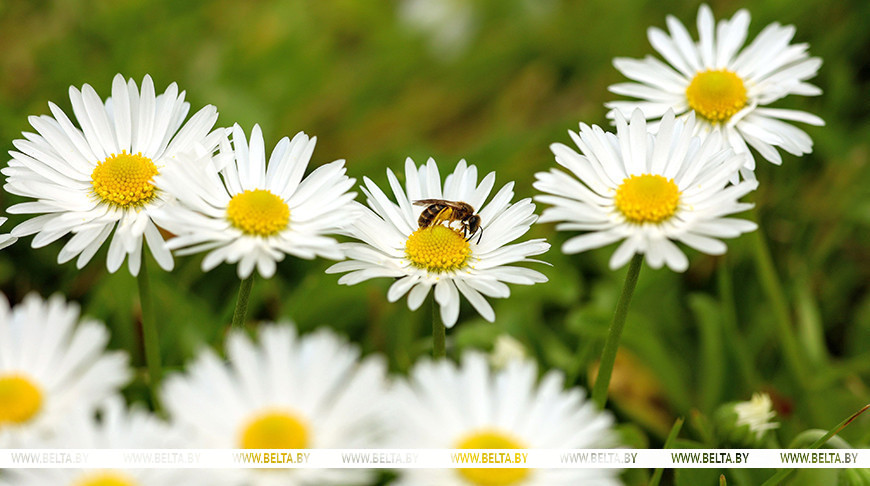 Фото из архива