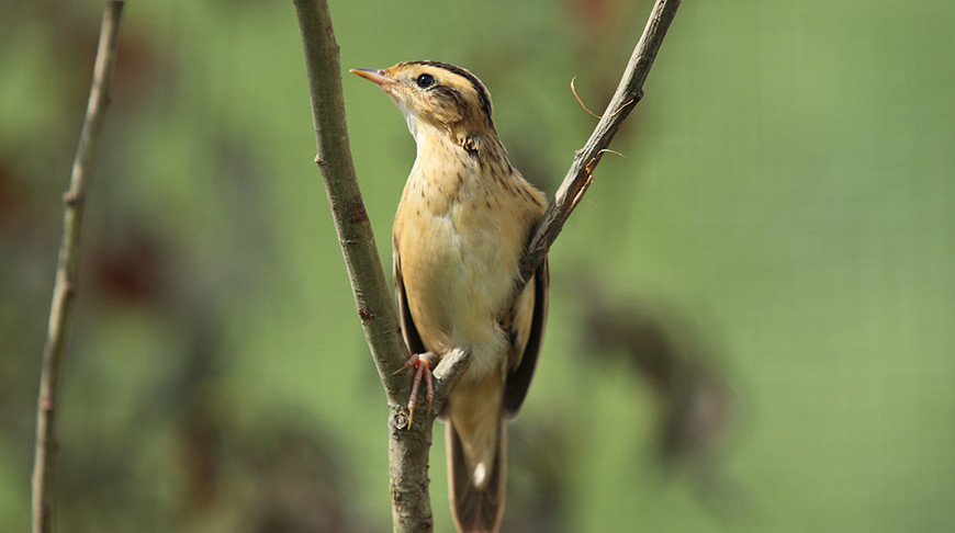 Фото ПРООН в Беларуси