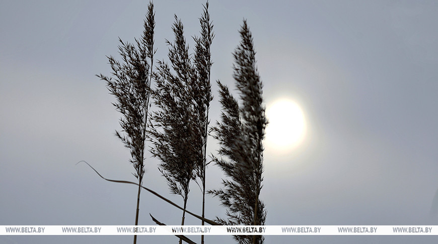 Фото из архива