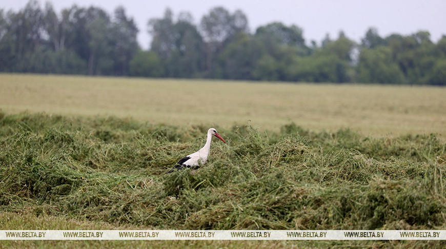 Фото из архива