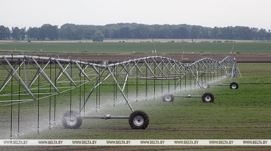 Фото из архива