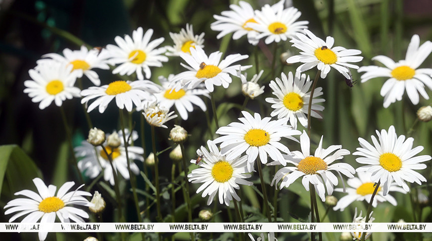 Фото из архива