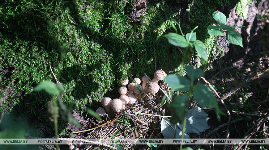 Фото из архива