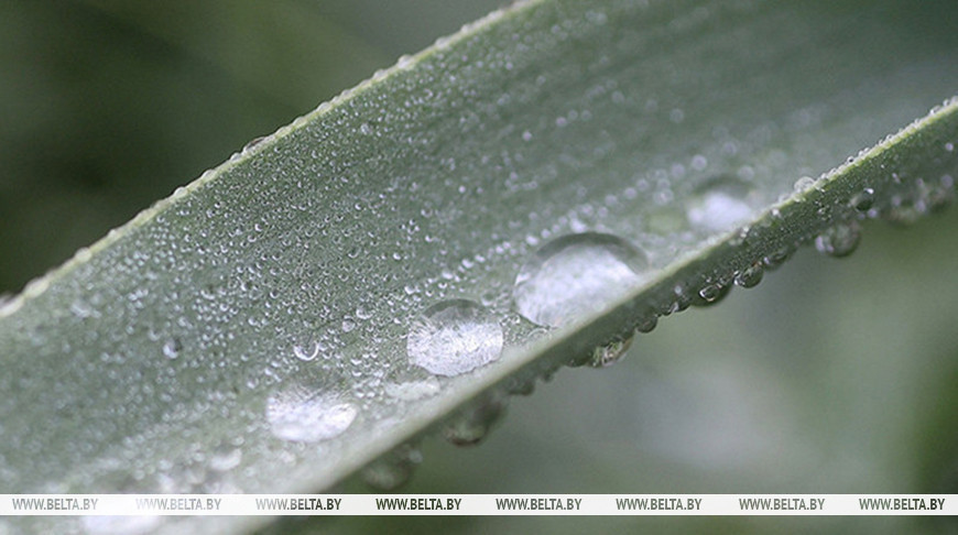 Фото из архива