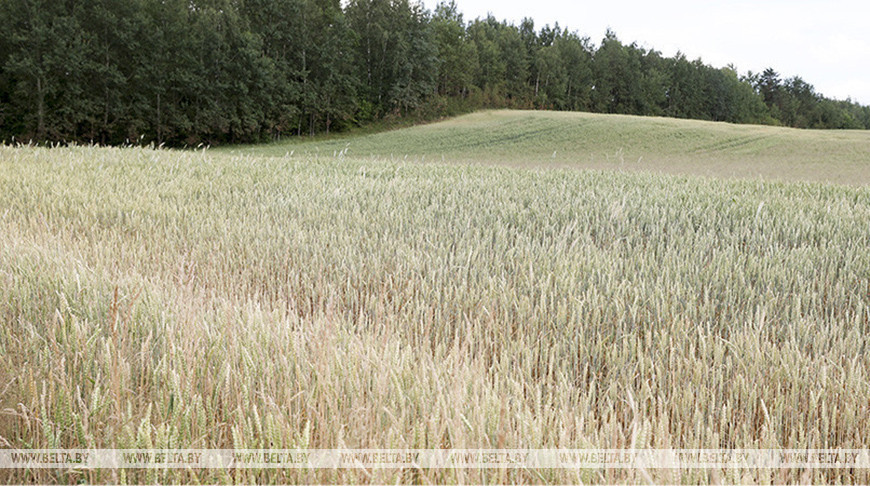 Фото из архива