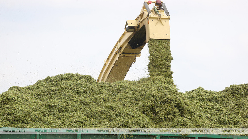 Фото из архива