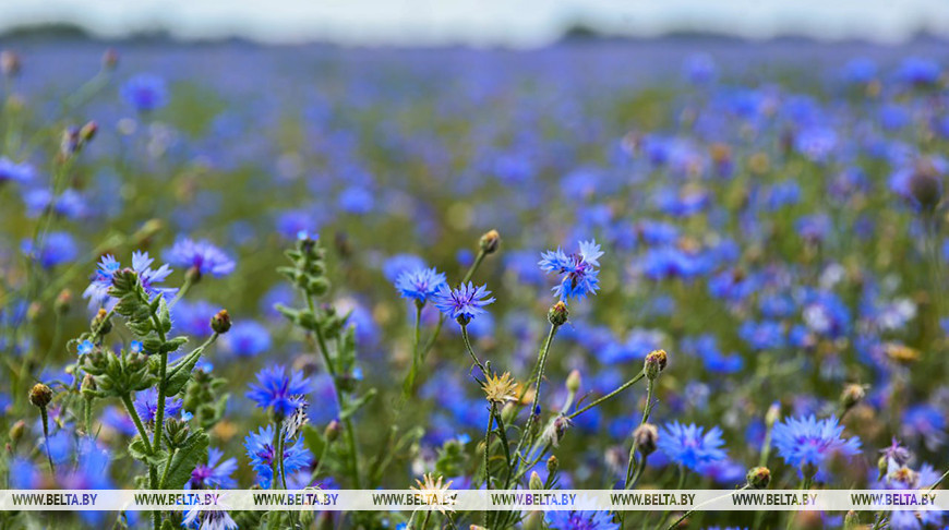 Фото из архива
