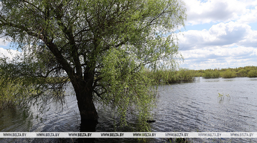 Фото из архива