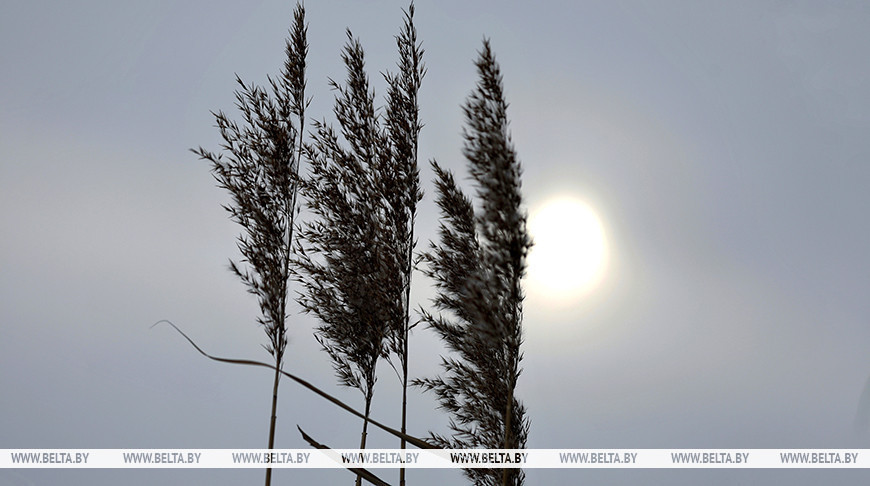 Фото из архива